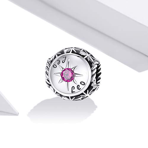 Image of 12 Constellation Charms 925 Sterling Silver Crystal Zircon Charms Family and Friends' Birthday Charm Birthstone Charms for Women Bracelets