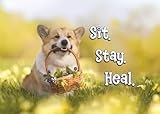 Glory To Dog Sit. Stay Heal The World Needs Your Fetching Self... Get Well Soon! Corgi Gute Besserung Karte mit Grußkarten-Umschlag