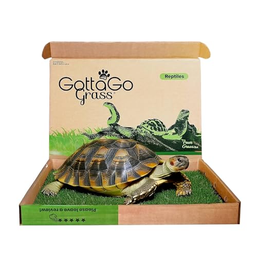 Gotta Go Grass for Reptiles - Natural Grass Bedding Mat & Resting Pad, Real Lawn Patch for Tortoises, Lizards, Snakes and Amphibians, Safe & Absorbent Reptile Substrate, 16
