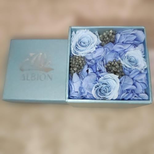 プリザーブドフラワー ニコライバーグマン」の人気商品一覧 | 安い商品