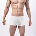CHXLQQX Mens Stretch Seamless Adjustable Exotic Lingerie Sexy Funny Classic Comfort Fashion Supporter G String White