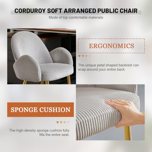 Image of Eifizek Home Office Chair Set of 4, Modern Corduroy Upholstered Vanity Desk Chair with Gold Legs for Girls /Women, Ergonomic Padded Backrest for Living Room, Grey