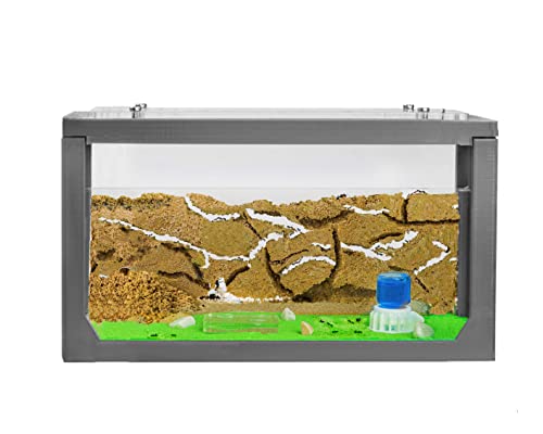 AntHouse - 3D Sand Ant Hill | Grey Starter Kit 7.87 x 3.94 x 3.94 in | Ant Farm