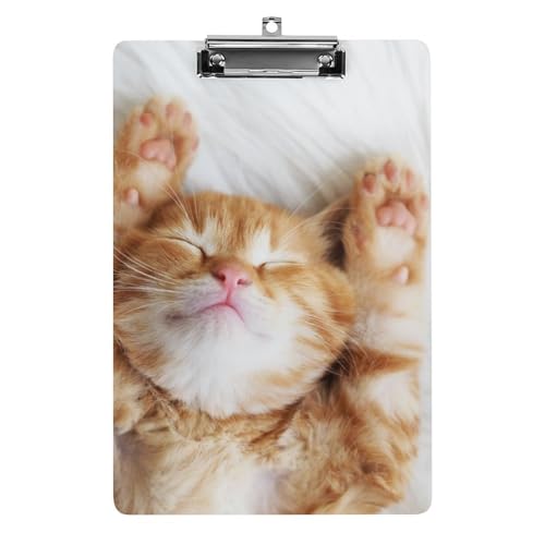 Porte-bloc A4 chat support écriture acrylique pour organisation bureau et fournitures