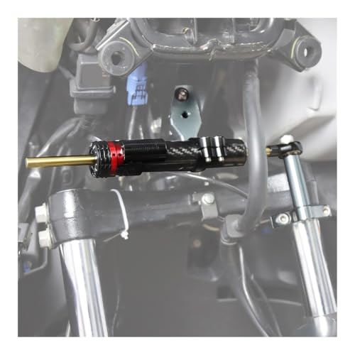 Stabilisateur direction réglable et support phare moto Forza 350