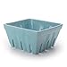 Signature Housewares Berry Bowl, 5-1/2-Inch, Blue