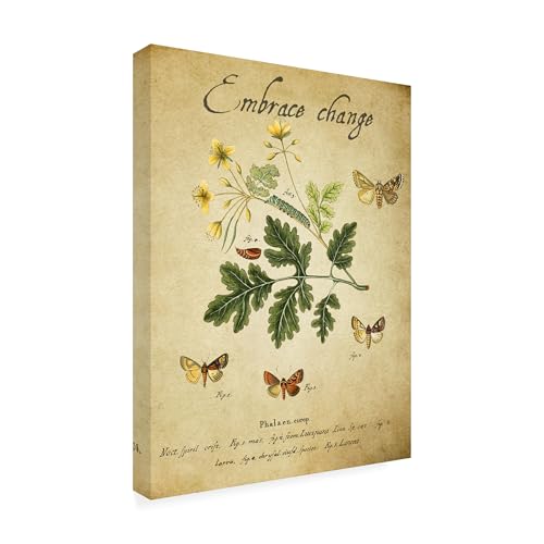 Wrapped Canvas Wall Art - Gail Fraser 'Embracing Change -