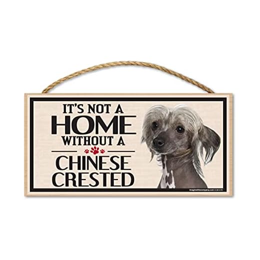 Imagine This Wood Sign for Chinese Crested Dog Breeds