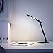 Aglaia LED Desk Lamp 4W, Eye-Care Foldable Table Lamp with Touch Control for 4-Level Dimmer, Suitable for Reading Studying (Black)
