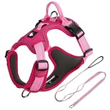 Questo set composto da pettorina e guinzaglio è progettato specificamente per i American Staffordshire Terr. Include una pettorina regolabile e resistente alla trazione con un guinzaglio di 1,5 red M