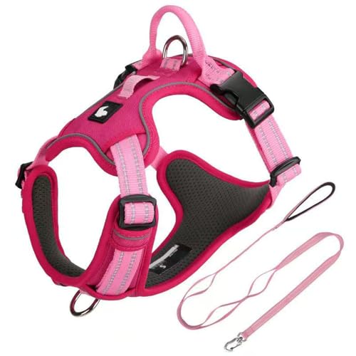 Boykin Spaniel Dog Harness & Leash Set, XS, Red