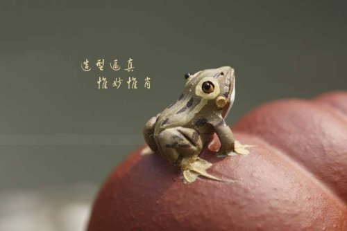 1Pc Chinese Yixing Zisha Tea Pet Decoration Frog On Snail Design Tea Mascots #TOP4