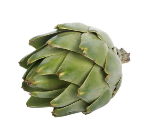 Seedville Cynara Scolymus Green Globe Artichokes, 75 Seeds Seedville Cynara Scolymus Green Globe Artichokes, 75 Seeds