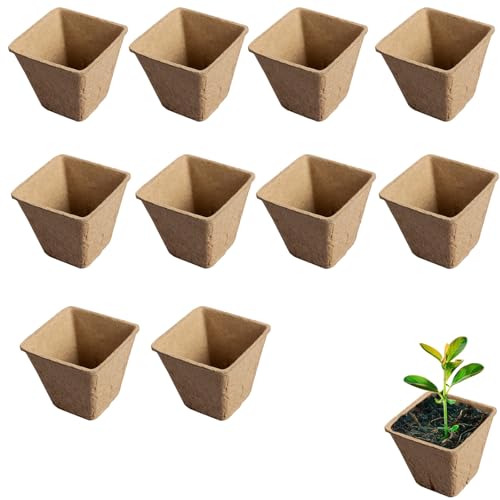 10 Paquetes Bandejas De Semillas Macetas