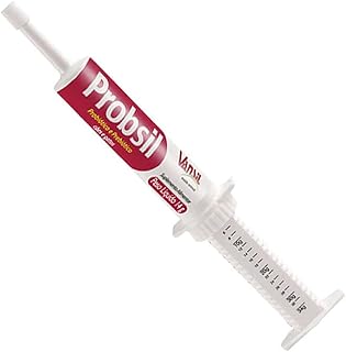 Suplemento Alimentar Probsil 14g Vansil