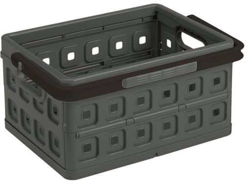 Sunware Square klappbox 24L - 43,5x31x21,3cm - klappboxen faltbar stabil für schwere Gegenstände - klappkisten stapelbar