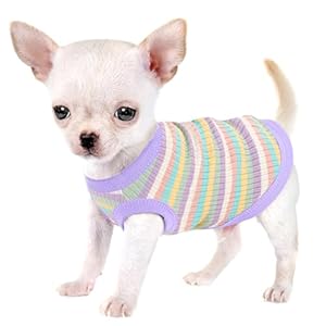Elevate Your Pet’s Comfort and Fashion: Premium 100% Cotton Rib Dog Shirt Vest for Small Breeds Like Chihuahuas, Yorkies, and Puppies .Year-Round Style with Tank-Style Puppy Attire Light Purple XXS