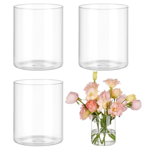 BENECREAT 4 Pcs Vases Cylindriques en Verre, 12cm Vase à Fleurs Clair pour Centres de Table, Récipients en Verre pour Bougies Piliers Flottantes, Restaurants Hôtels Décoration d'Intérieur