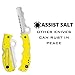 Spyderco Assist Salt Knife with 3.68
