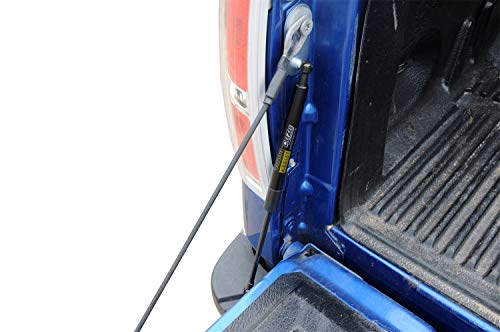 Dee Zee DZ43204 Tailgate Assist fits 2015-Current Ford F150, Multicolor by DEE ZEE - Image 7