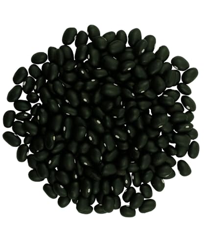 image for CLEAR CREEK Washington State Grown Black Beans | 25 lb Bucket | Non-GM