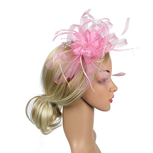 Hidoll Fascinator Hat Feather Mesh Net Veil Party Hats Flower Hat With Clip And Hairband For Women #TOP2