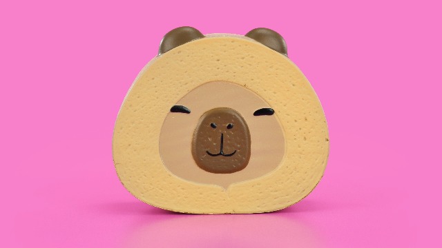 Amazon.com: La Squish Series 1 (La Snaxolotl+Cinnaroll Ruff Ruff