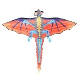 Para niños y adultos, volar cometas es una actividad de entretenimiento. Se puede utilizar en cualquier área abierta, como la playa.
