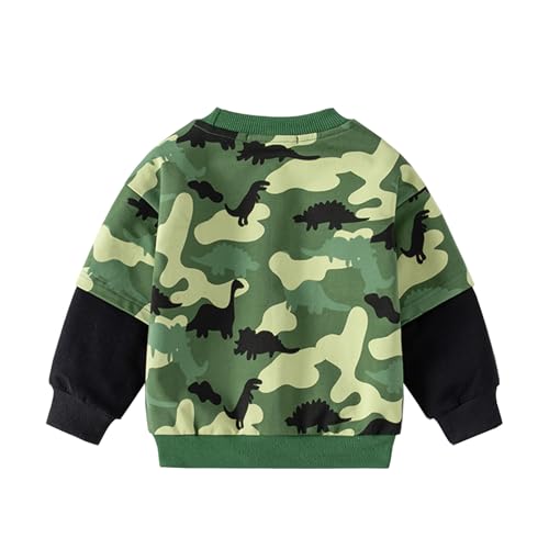 Toddler Boy Long Sleeve Crewneck Sweatshirt Dinosaur Print Spring3