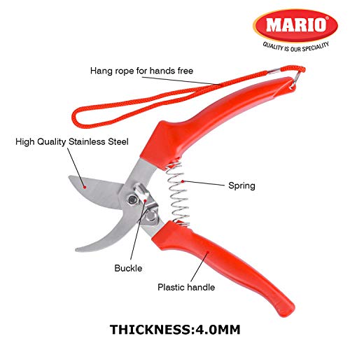 Image of Mario Scissors for Gardening /Purnning Work - 8.4 inch / 214 mm - Strong Cutting Scissors, Safe to Handel - Premium Stainless Steel Blade Scissors - MGS 702