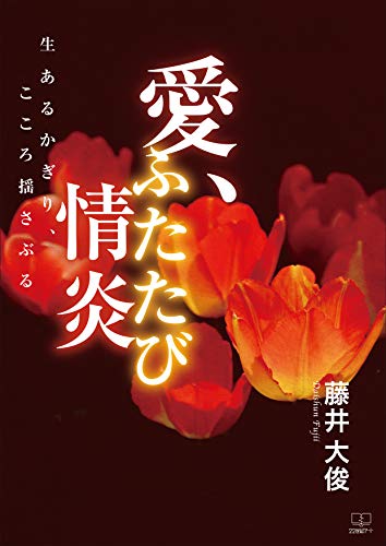 Download 愛 ふたたび情炎 生あるかぎり こころ揺さぶる ２２世紀アート 書籍 Epub 無料 Booksmeter