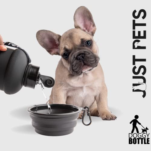 Large Water Bottle For Dogs On The Go With Collapsible Dog Bowl, Dog Travelling Water Bottle Set, Dog Hiking Water Bottle & Travel Dog Bowl, Large Dog Water Bottles For Walking, Leakproof (Black) #TOP7