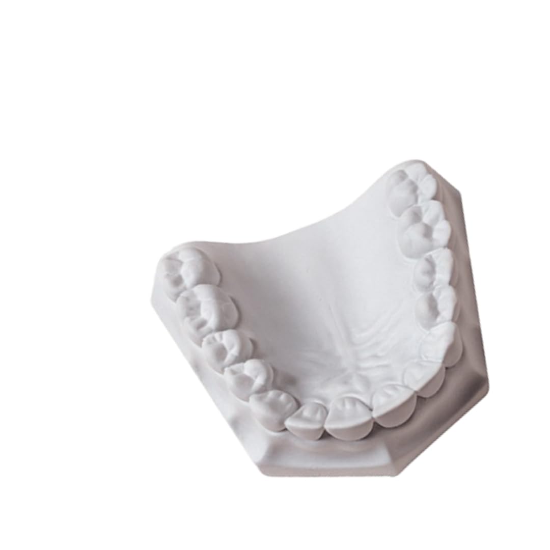 WhipMix 330066 Orthodontic Dental Lab Specialty Stone White 33 Lb