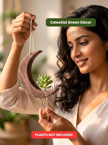 Image of Hanging Moon Planter with Wooden Holder & Rope | Test Tube Design, Indoor Stand, Home Decor, Living Room & Balcony, Office Decoration