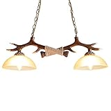 geweihlampe ❤ Hochwertige Materialien: Dies ist die Verwendung von Harz und Eisen aus Geweih-Stil Deckenlampen, mit einem traditionellen Retro-Stil. So dass die umgebende Atmosphäre einzigartig erscheint