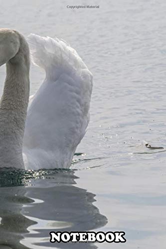 Notebook: Fascinating Poster Designed By Ornella Bonomini , Journal for Writing, College Ruled Size 6" x 9", 110 Pages