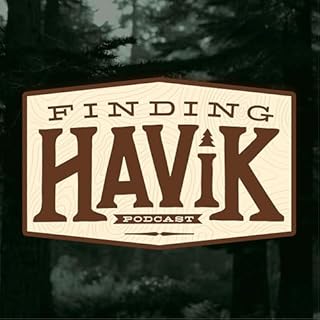 Finding HAViK Titelbild