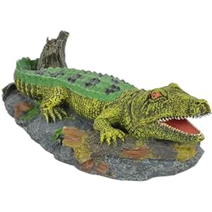 Supa Air Operated Bubbler Crocodile Aquarium Or Fish Tank Ornament, Helps To Aerate Your Aquarium, Highly Detailed.,Green