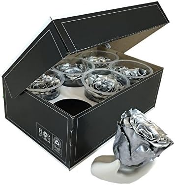 KIKA DECO Preserved Roses Head Pack (6 Pack, Silver Metalized)