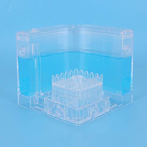 EUKKIC Humidité Bricolage Alimentation Fourmi Ferme de Laboratoire Science Jouet Éducatif