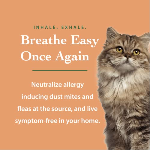 Dust Mite And Flea Control Spray & Powder - Dust Mites Remover + Flea Killer For Allergy & Asthma Relief - Dust Spray For Allergies & Cleaning In Home, Carpet, Bed, Pet Bedding, & Furniture #TOP3
