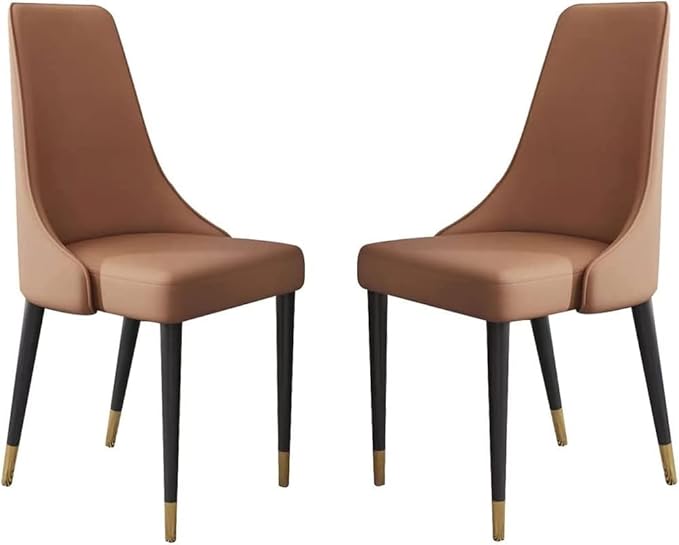 HAOKAZLBR Modern Kitchen Dining Room Chairs Set Accent