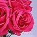 Felice Arts 12 Pack Hot Pink Roses Artificial Flowers with Stems Silk Fuschia Rose Bouquet for Wedding Bridal Bouquet Vase Table Centerpiece DIY Cake Valentines Decoration Decor