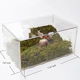 Jinymral terrarium acrylique 28,5 x 20 x 15 cm et mur d’escalade photo 5