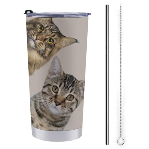 ^u[ ӂt 600ml 킢 L It's All About The Cats p gx^u[ XeX ۉۗ }OJbv R[q[Jbv ^fM d\ aJbv  Xg[t ^т₷ Mtg