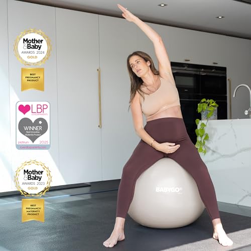 BABYGO Birthing Ball, Pregnancy & Labor, Award Winning Book by BABYGO - Used condition - Image 5
