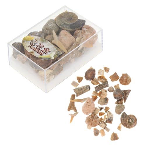 Cabilock 2 Boxes Collection Stones Specimen Natural Teaching Stones for Boys and Girls Home Garden Decor