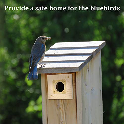2 Pieces Bird House Replacement Guard Bird House Copper Portal For Eastern Bluebird Houses 1 1/2 Inch Opening #TOP6