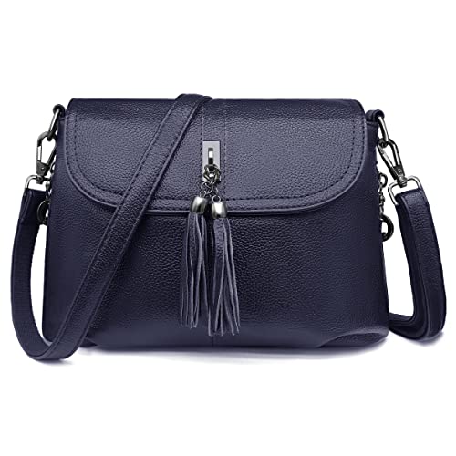 HNOOM Kleine Umhängetasche Damen Veganem Leder Handtaschen Damen Vielen Fächern Tote Bag Mit Quasten Crossbody Bag Schultertasche für Frauen Dating Reisen Party Einkaufe (Blau) Cover