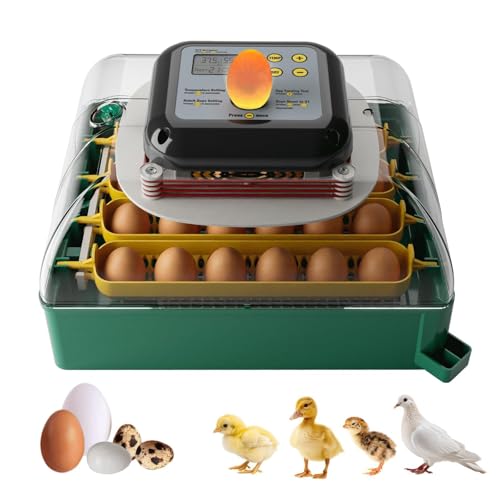 Shaledig Incubateurs de 24 œufs pour couver des œufs avec rotation automatique des œufs et contrôle de l'humidité et température numérique et bougie à œufs, vue claire à 360° pour poulet/canard/caille/oie, parfait pour laboratoire, école, ferme